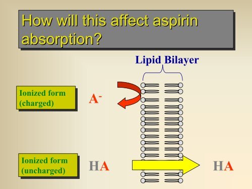 Pharmacology