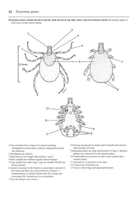 Ticks of Domestic Animals in Africa - Alan R Walker - Science Writer