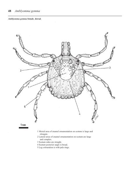 Ticks of Domestic Animals in Africa - Alan R Walker - Science Writer