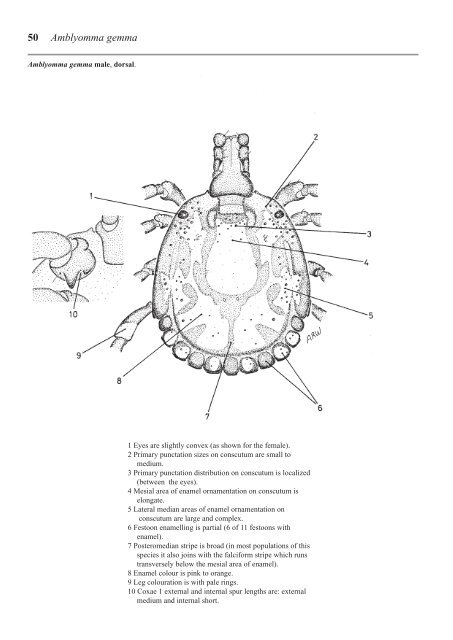 Ticks of Domestic Animals in Africa - Alan R Walker - Science Writer