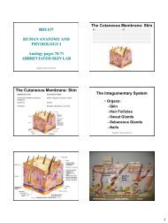 Skin Lab PPT -PRINT