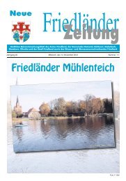 Friedländer Mühlenteich - Stadt Friedland