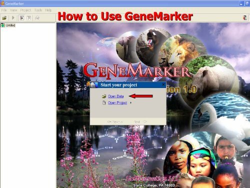 Demonstration of SoftGenetics GeneMarker