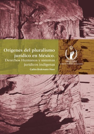 Orígenes del pluralismo jurídico en México