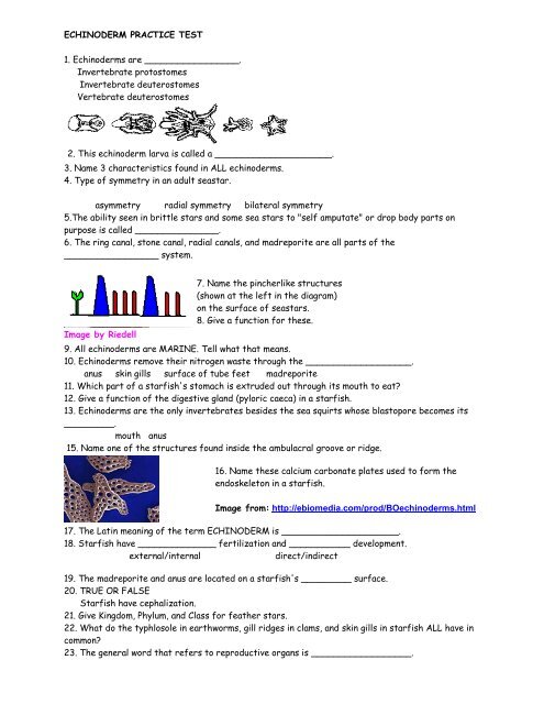 Echinoderm Practice Quiz