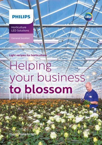 Helping your business to blossom