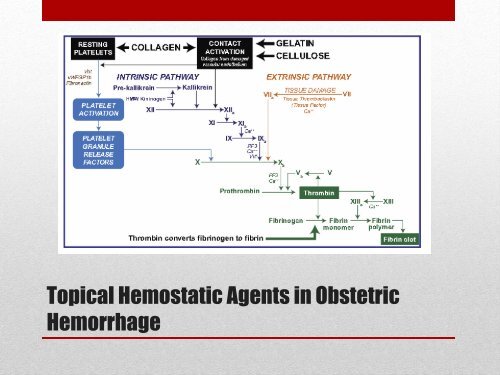 Regional Postpartum Hemorrhage Guidelines