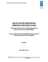 SOLICITUD DE PROPUESTAS UNDP/ECU/SdP/ADQ/13/069