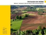 PAYSAGES EN HERBE