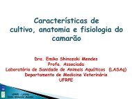Características de cultivo anatomia e fisiologia do camarão