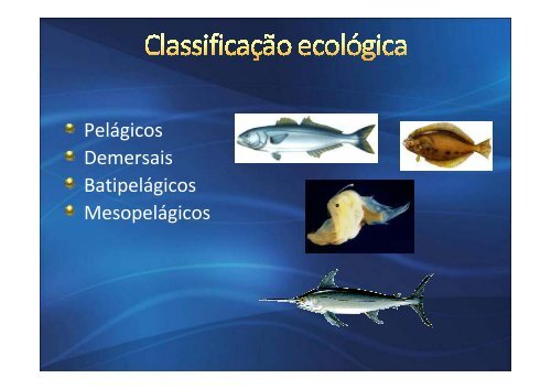 Msc Marianna Vaz Rodrigues Disciplina Higiene e Inspeção de Pescado