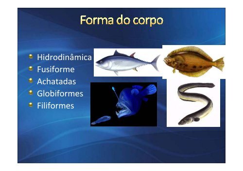 Msc Marianna Vaz Rodrigues Disciplina Higiene e Inspeção de Pescado