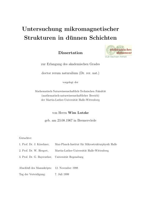 Untersuchung mikromagnetischer Strukturen in dünnen Schichten