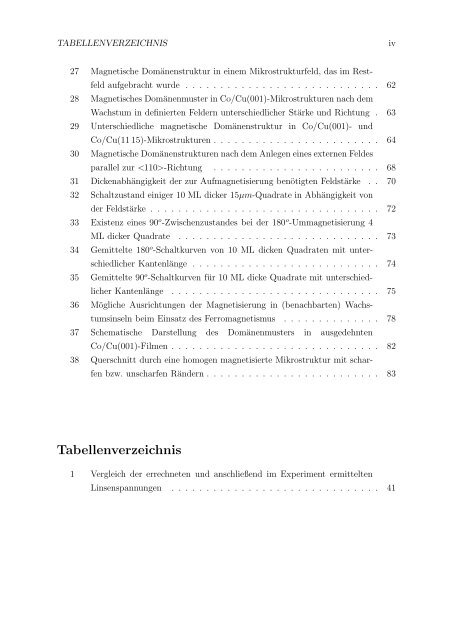 Untersuchung mikromagnetischer Strukturen in dünnen Schichten