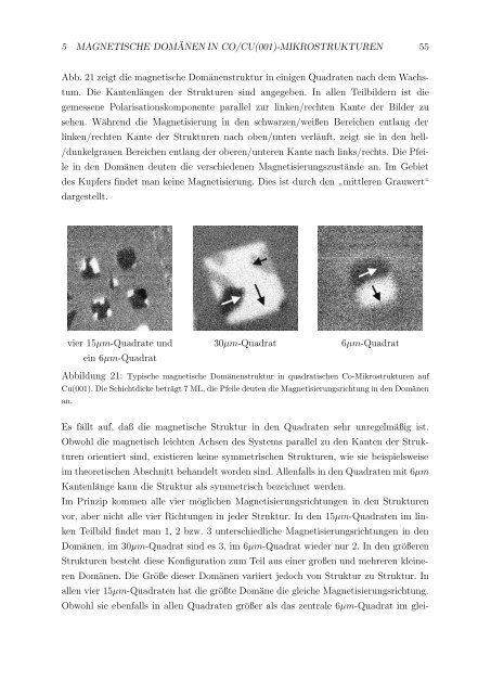 Untersuchung mikromagnetischer Strukturen in dünnen Schichten