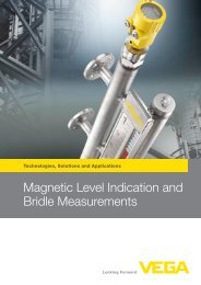 Magnetic Level Indication and Bridle Measurements