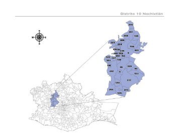 Distrito 10 Nochixtlán