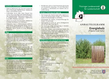 Anbautelegramm - Energieholz (Populus und Salix) - TLL