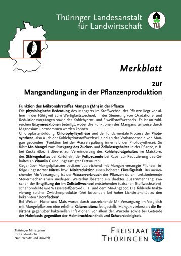 Merkblatt: Mangandüngung in der Pflanzenproduktion - TLL