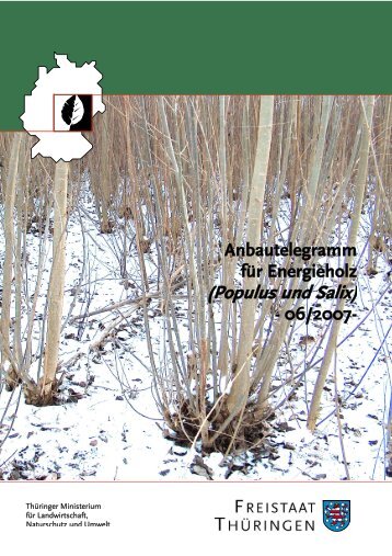 Anbautelegramm für Energieholz (Populus und Salix) - TLL