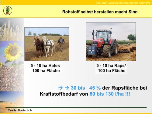 Biomasse selbst verwerten oder an Energieunternehmen liefern - TLL