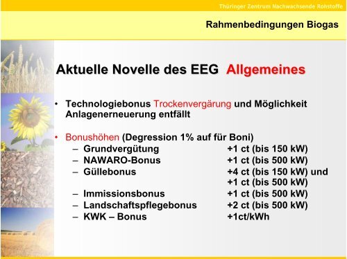 Biomasse selbst verwerten oder an Energieunternehmen liefern - TLL