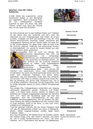 Radl Magazin 04/2000 (Testbericht Toxy-ZR) (PDF