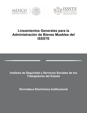 Lineamientos Generales para la Administración de Bienes Muebles del ISSSTE