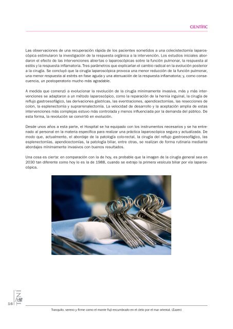 "TanÃ­ nÃºmero 13" (PDF, 5.58MB) - Hospital Comarcal de l'Alt PenedÃ¨s