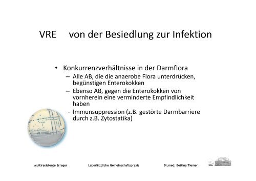 MRE - Multiresistente Erreger Epidemiologie Pathogenese