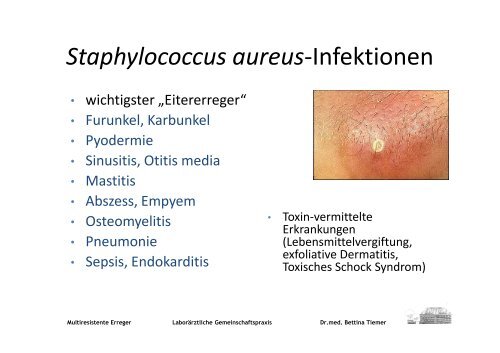 MRE - Multiresistente Erreger Epidemiologie Pathogenese