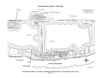 Puerto Morelos Area Map (PDF)