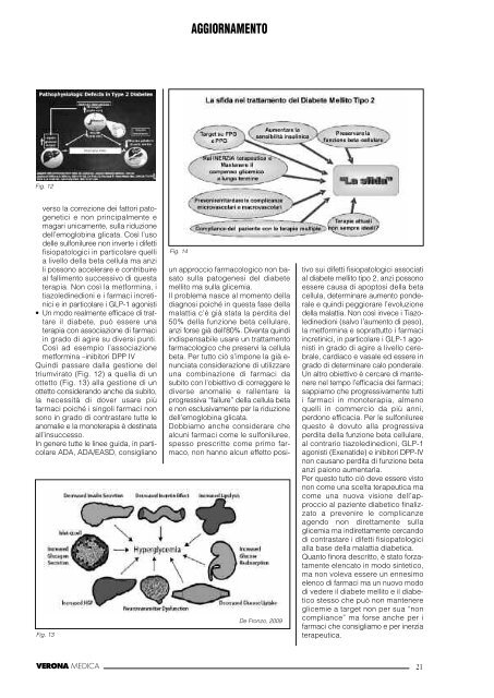 VERONA MEDICA