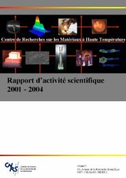 Rapport d'activité scientifique 2001-2004