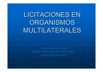 LICITACIONES EN ORGANISMOS MULTILATERALES