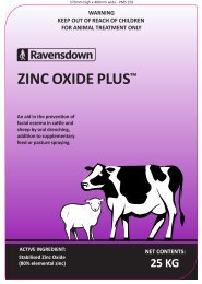 ZINC OXIDE PLUS