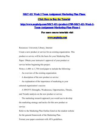 market plan phase i paper market plan phase i paper