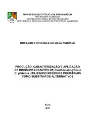 ROSILEIDE FONTENELE DA SILVA ANDRADE ... - Unicap