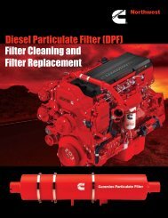 Diesel Particulate Filter (DPF) Filter Cleaning and Filter Replacement