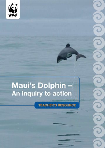 Maui’s Dolphin –