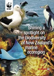 Shining a spotlight on the biodiversity of New Zealand’s marine ecoregion