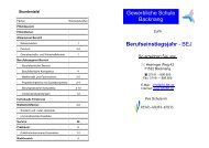Gewerbliche Schule Backnang Berufseinstiegsjahr - BEJ