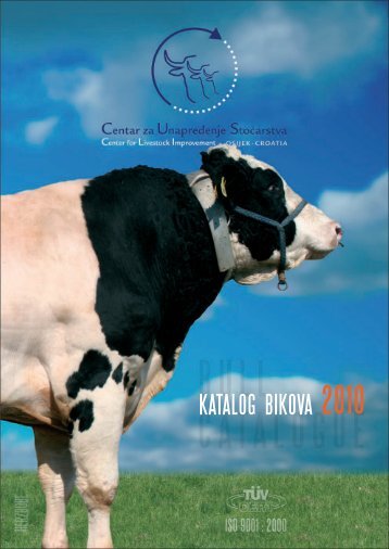Bikova Magazines