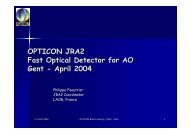 JRA2: Fast Optical Detectors for AO - Opticon