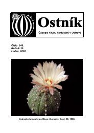 Časopis Klubu kaktusářů v Ostravě Číslo 346 Ročník 35 Leden 2006