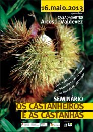 CASTANHEIRO?