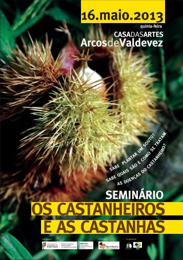 CASTANHEIRO?