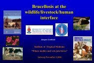 Bovine tuberculosis and brucellosis at the wildlife/livestock/human ...