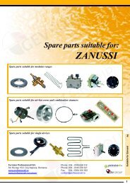 ZANUSSI