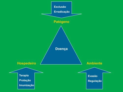 Manejo Integrado de Doenças em Ornamentais